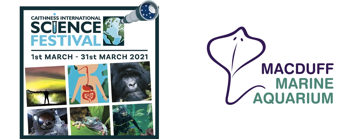 Live Virtual Dive Show as part of Caithness Science Festival 26th March 2pm