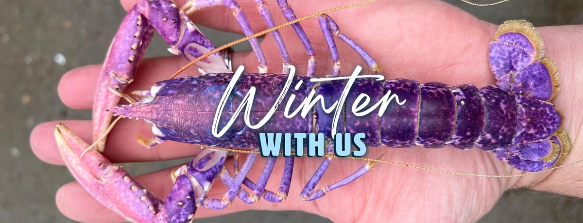 Aquarium Discovery Pop Up Events at Deveron Sports and Community Centre