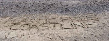 Get on Board with a Beach Clean