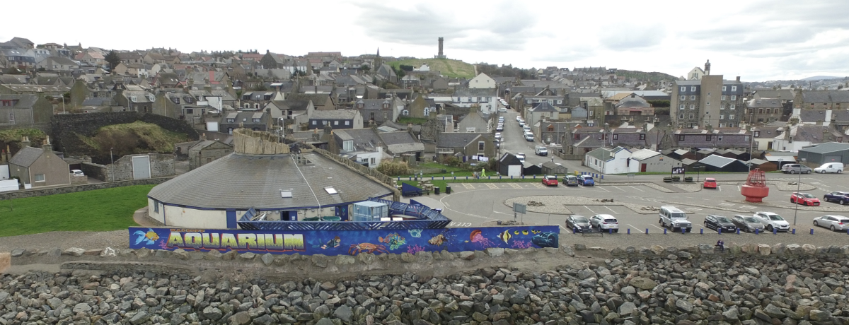 Dive in Deeper - Welcome to the Aquarium