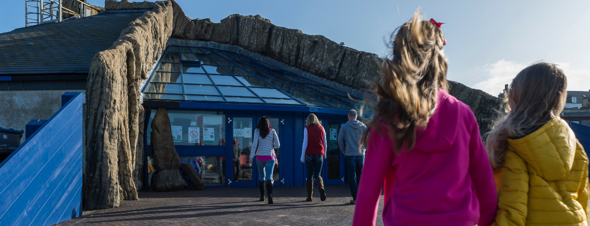 Dive Back In! Macduff Marine Aquarium Reopens...