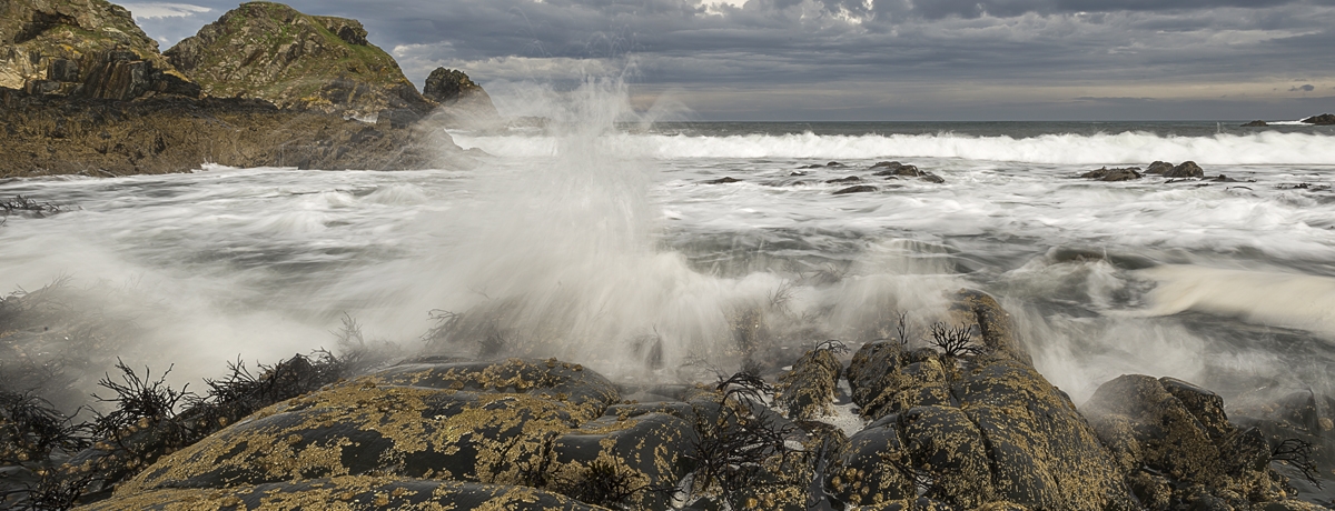 Dive In Deeper - The Rocky Shore